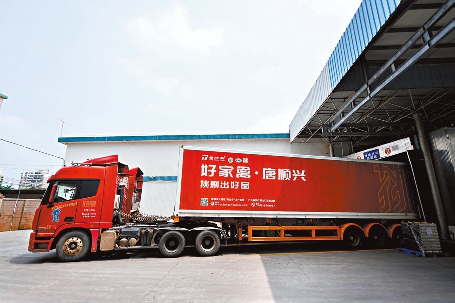 唐順興：解鎖白切雞風(fēng)味，食材源頭直供批發(fā)廠家